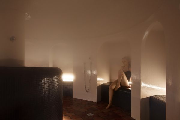 Hostellerie La Cheneaudière Relais et Chateaux (Colroy-la-Roche)